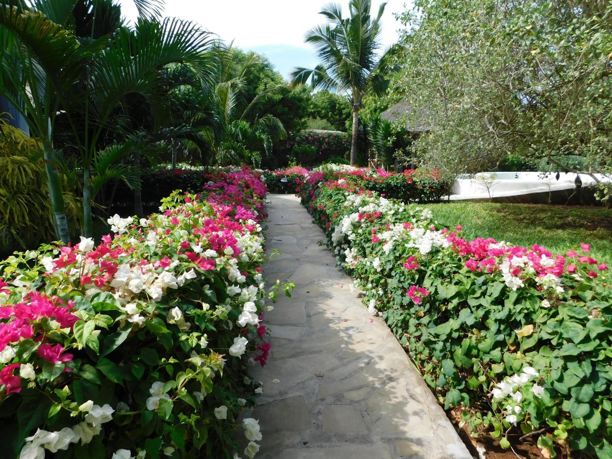 Dama Villa Watamu Exterior photo